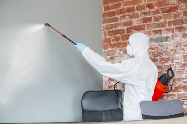 Best HVAC Mold Inspection and Cleaning  in Nesconset, NY