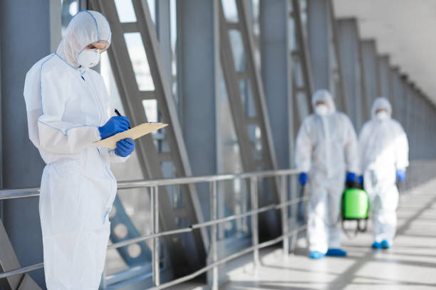 Nesconset, NY Mold Removal Pros