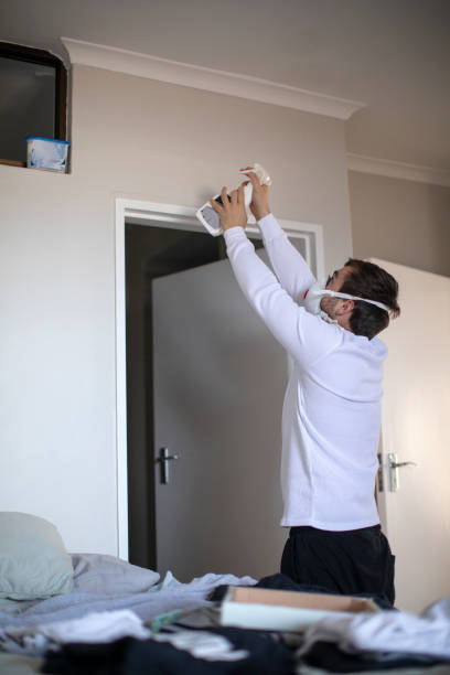 Best Water Damage & Mold Remediation  in Nesconset, NY