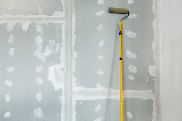 Best Black Mold Removal  in Nesconset, NY