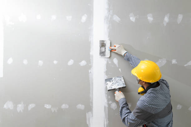 Best Mold Prevention Services  in Nesconset, NY