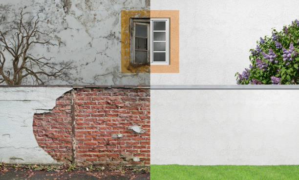 Best Mold Documentation for Insurance Claims  in Nesconset, NY