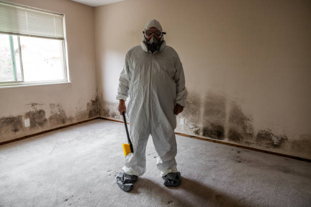 Best Mold Remediation for Healthcare Facilities  in Nesconset, NY